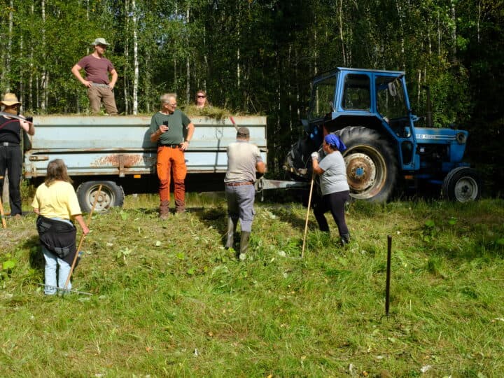 Lastning av hö