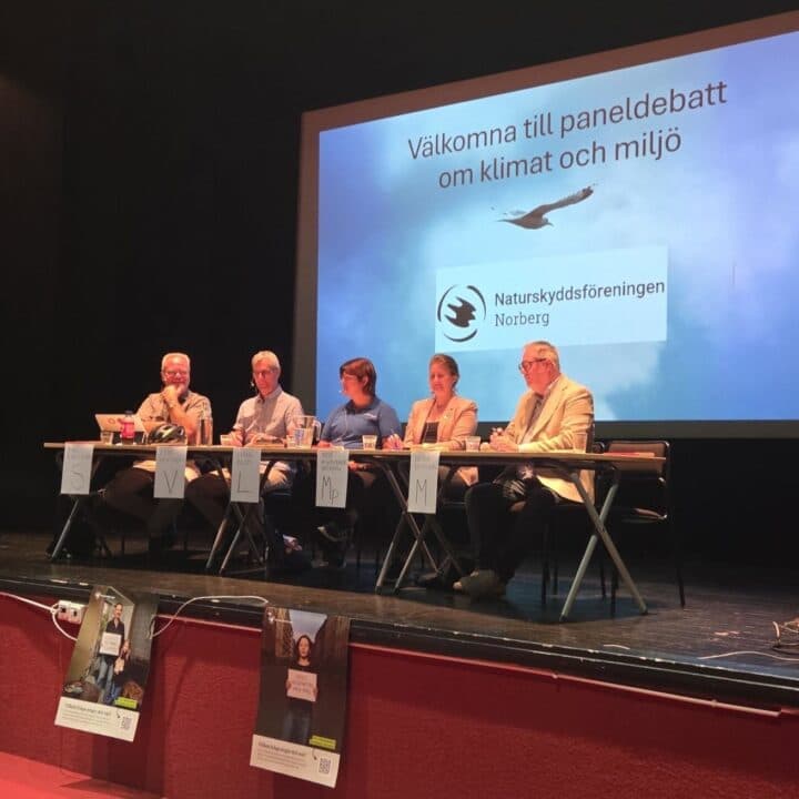 Panelen i bild